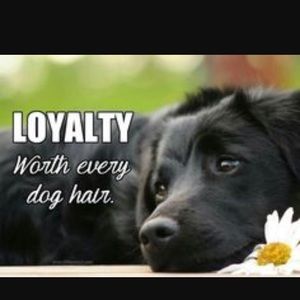 Meet your Posher, Dotty